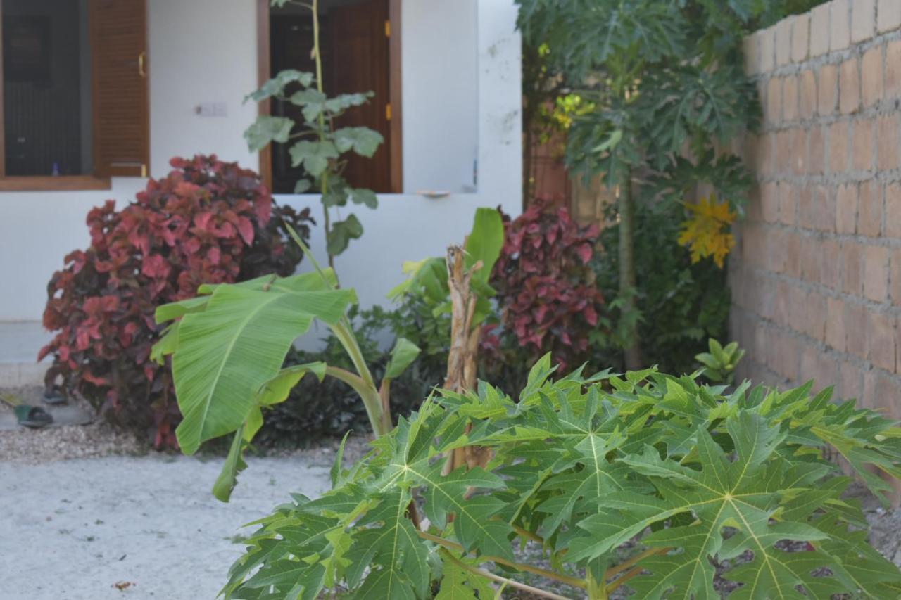 New Arisen Bungalows Bwejuu Exterior photo